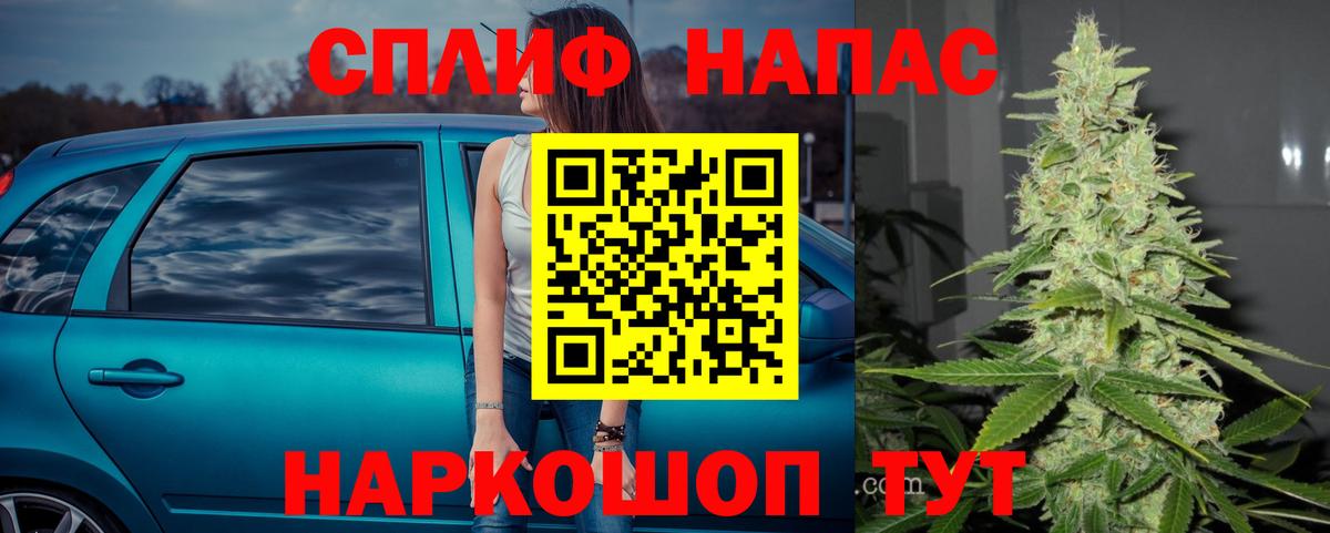 Канабис MAZAR Берёзовский